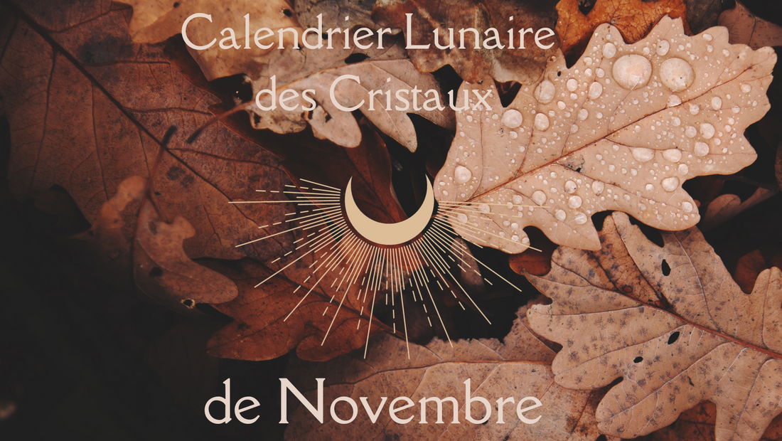 🌙 Pleine Lune de Novembre 🌙