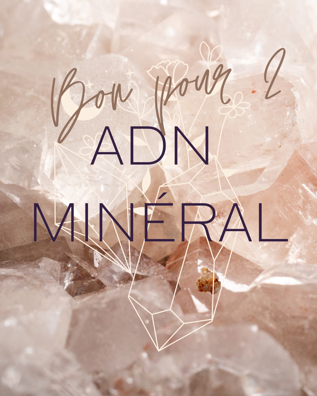 Coffret 2 ADN + 1 cadeau