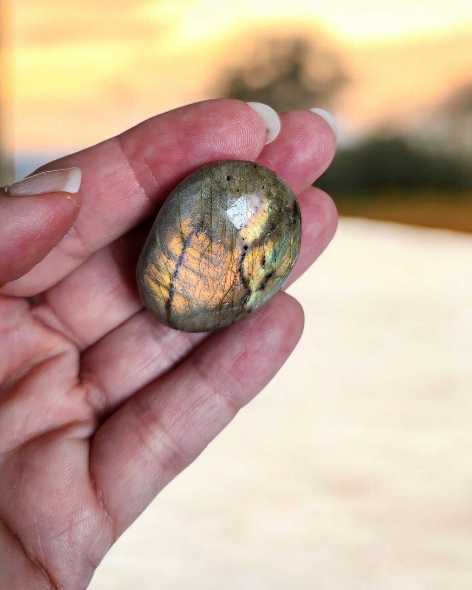 Galet de Labradorite Violet