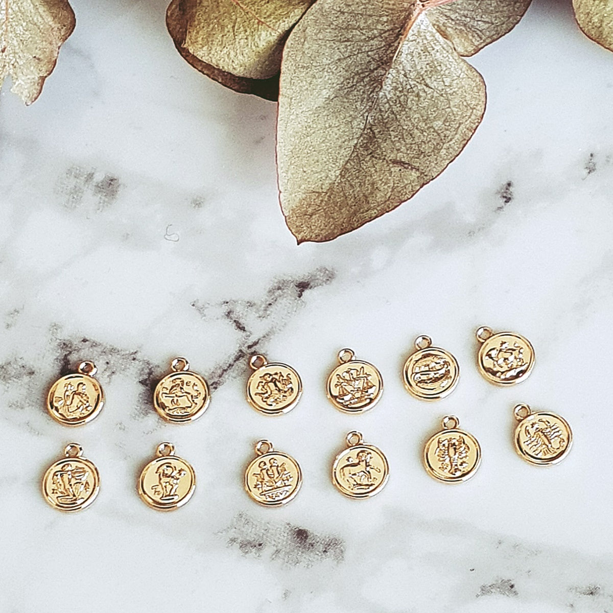 Charm's Signe astrologique