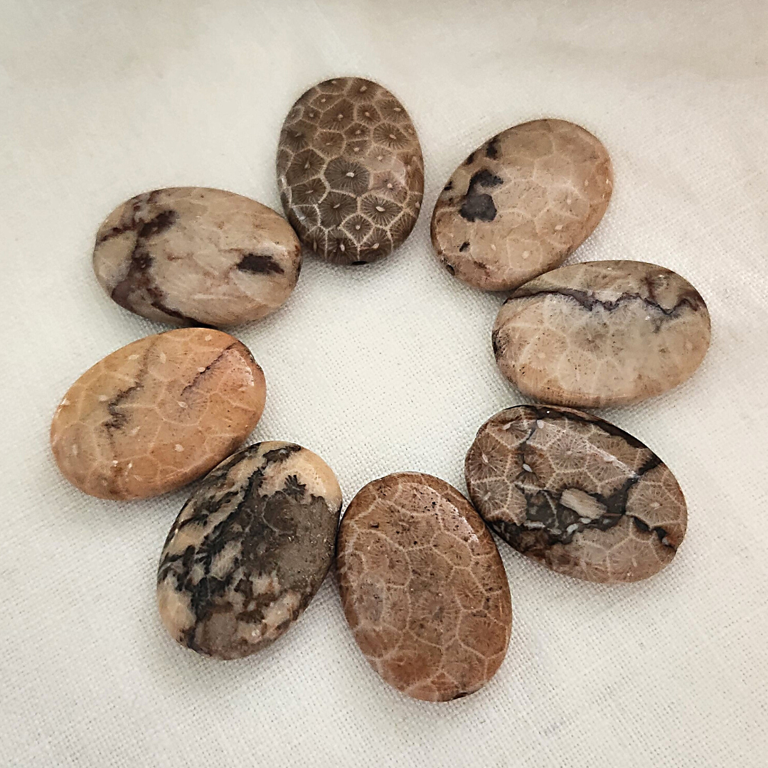 Bracelet Corail fossilisé