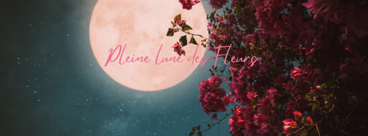 Pleine Lune du 1er Mai 2026 : L’Éclosion des Vérités (Lune des Fleurs en Scorpion)