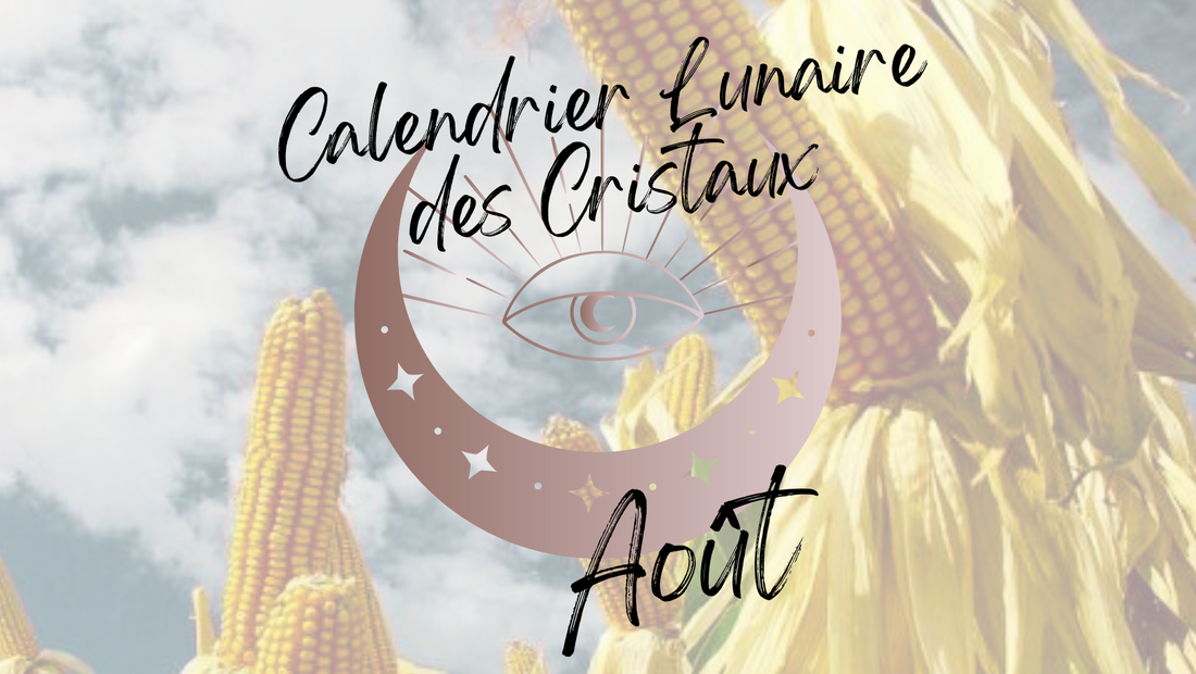 Pleine Lune du 28 Août 2026 : Cap sur la Rentrée ! Ancrage, Clarté et Puissance d'Action