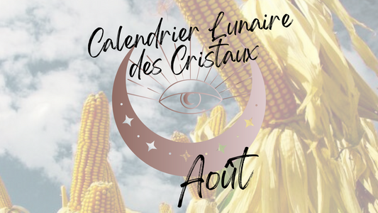 Pleine Lune du 28 Août 2026 : Cap sur la Rentrée ! Ancrage, Clarté et Puissance d'Action