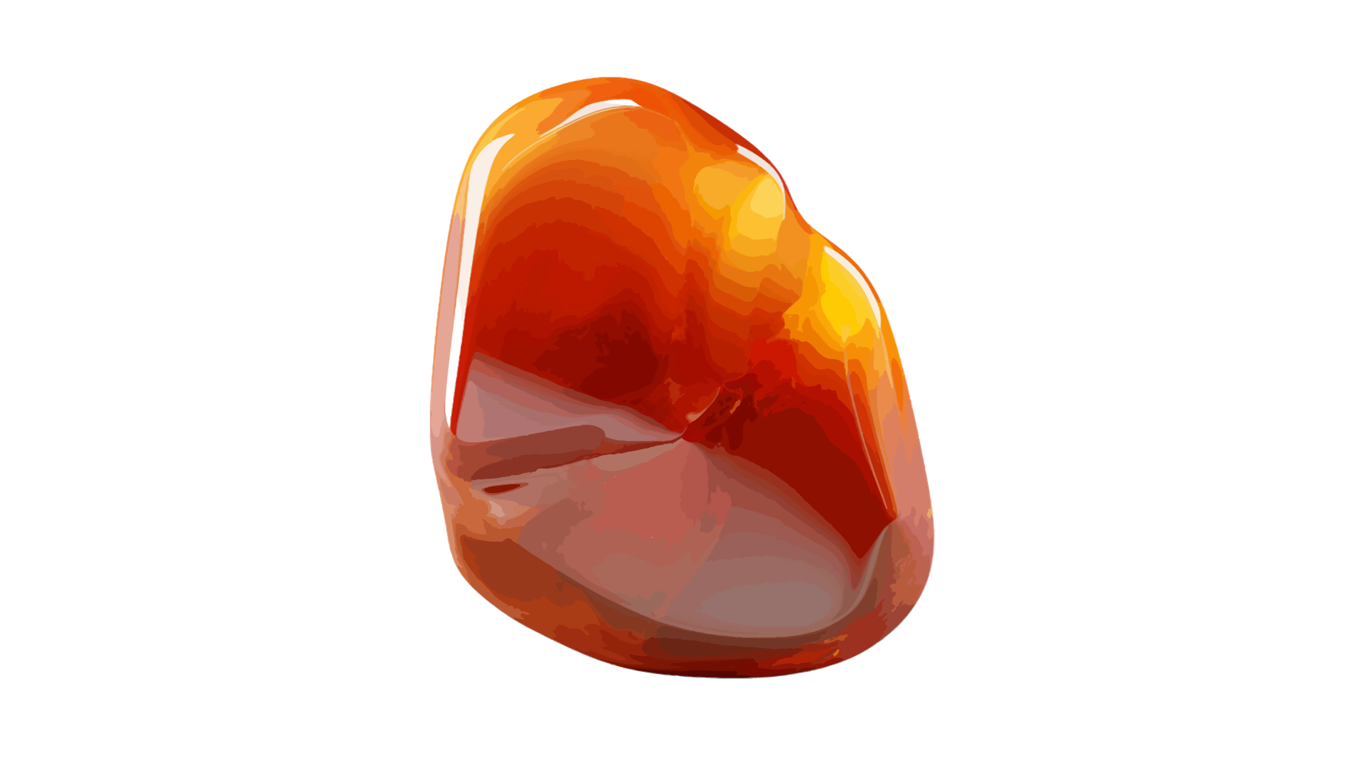 Cornaline - Cabochons, Perles, Pierres à facettes | GemSelect Cornaline - Cabochons, Perles, Pierres à facettes | GemSelect