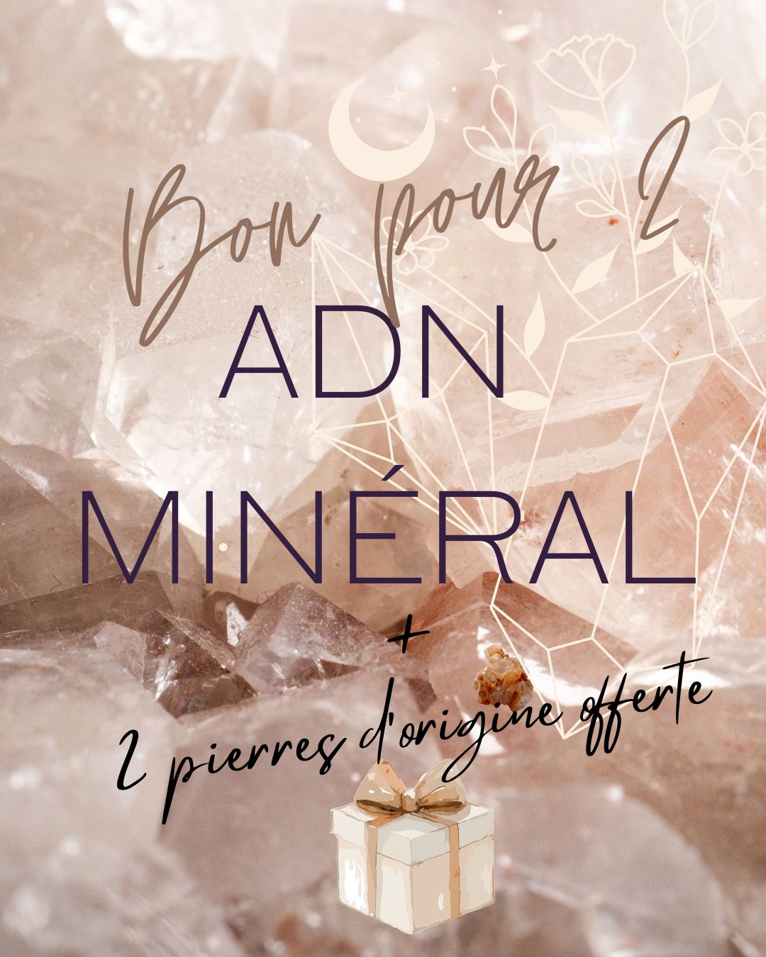 Consultation 2 ADN + 2 cadeaux