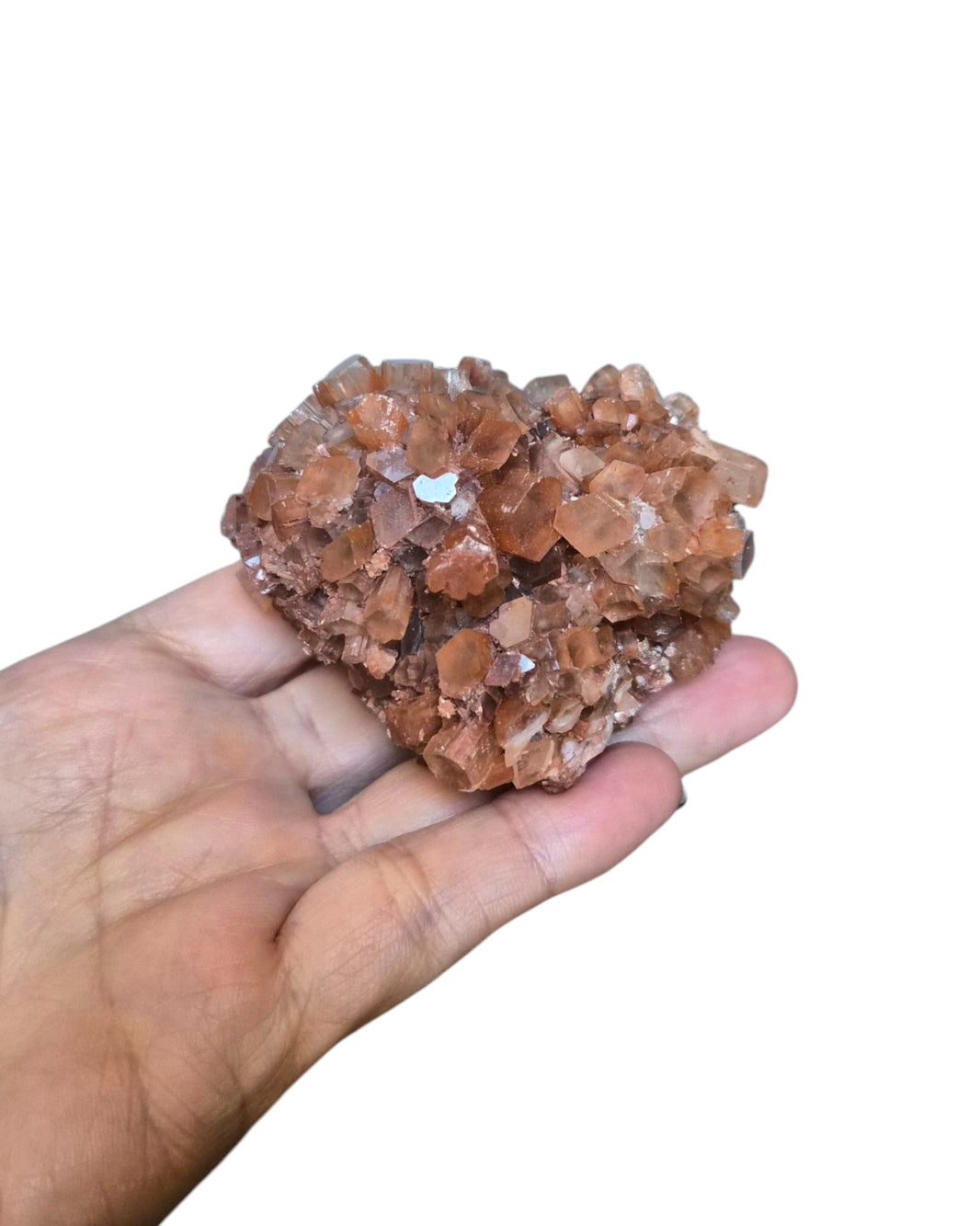 Aragonite brut