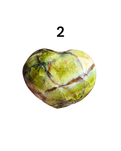 Cœur Opale verte fossilisé [Abondance]