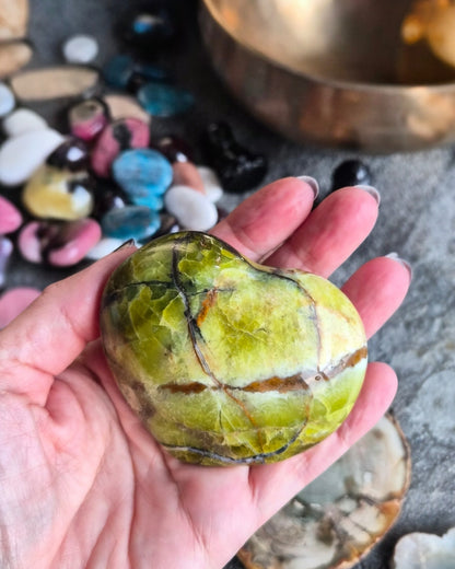Cœur Opale verte fossilisé [Abondance]
