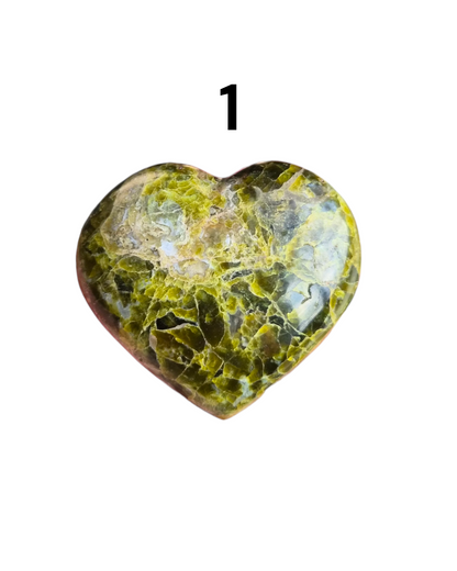 Cœur Opale verte fossilisé [Abondance]