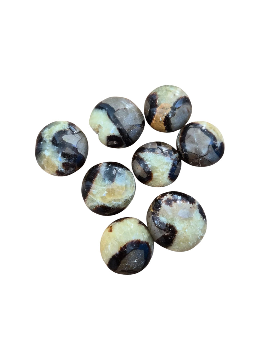 Galet de Septaria – Dissoudre les carapaces & retrouver l’ancrage