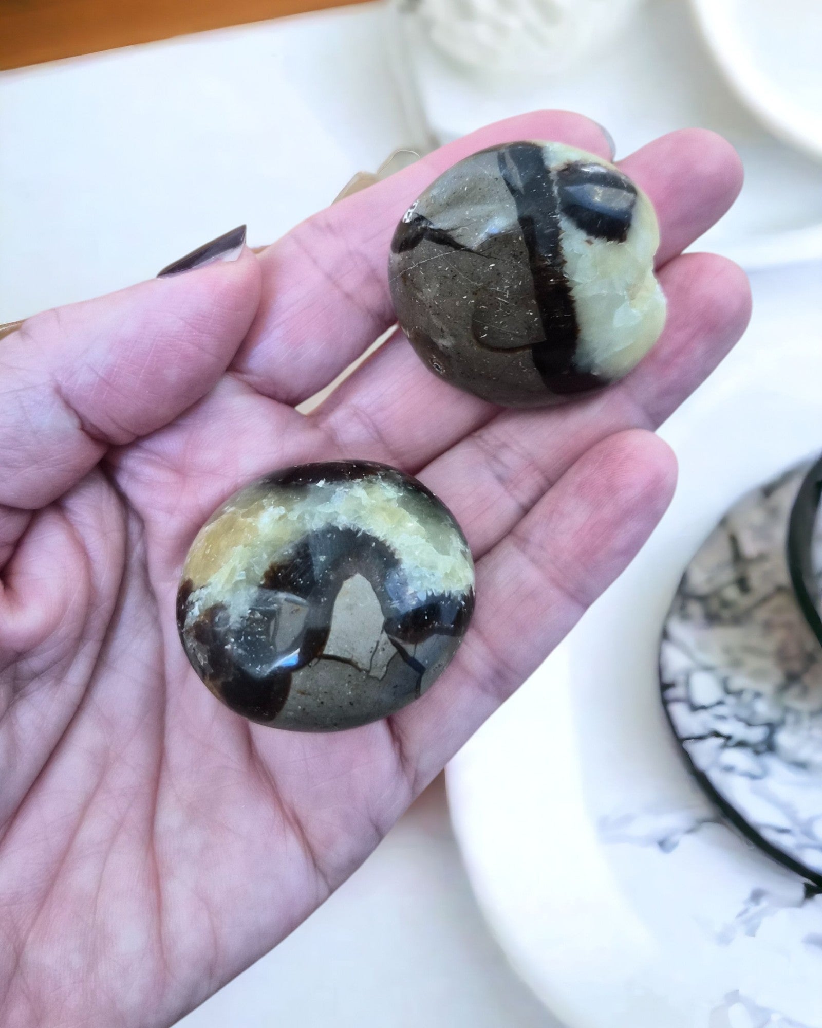 Galet de Septaria – Dissoudre les carapaces & retrouver l’ancrage