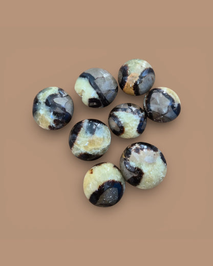 Galet de Septaria – Dissoudre les carapaces & retrouver l’ancrage