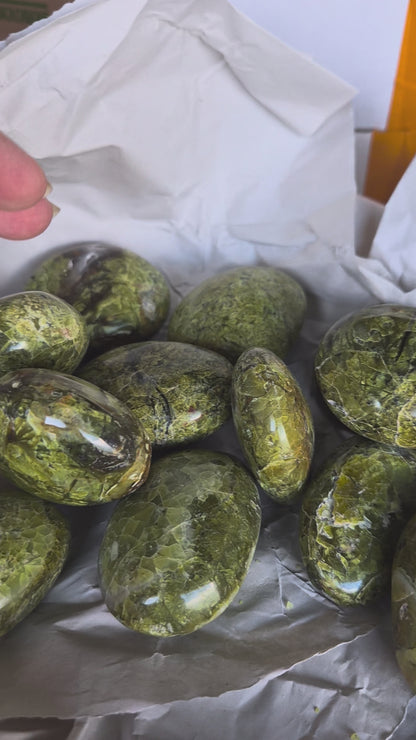 Galet Opale verte fossilisé