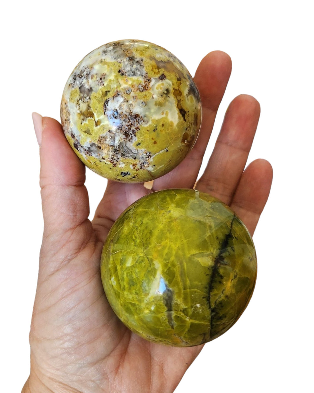 Sphère Opale verte fossilisée [Abondance]